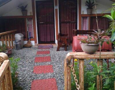 Exlusive Attic house. Location: Pacdal